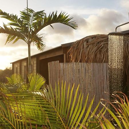 Bonaire Boutique Resort Kralendijk na wyspie Bonaire Zewnętrze zdjęcie