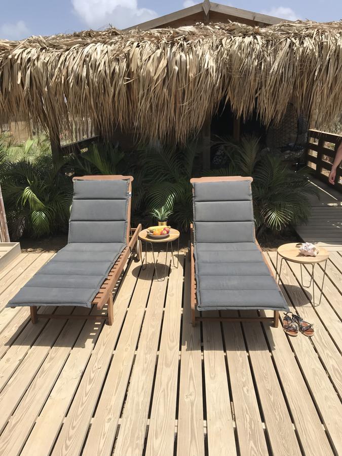 Bonaire Boutique Resort Kralendijk na wyspie Bonaire Zewnętrze zdjęcie