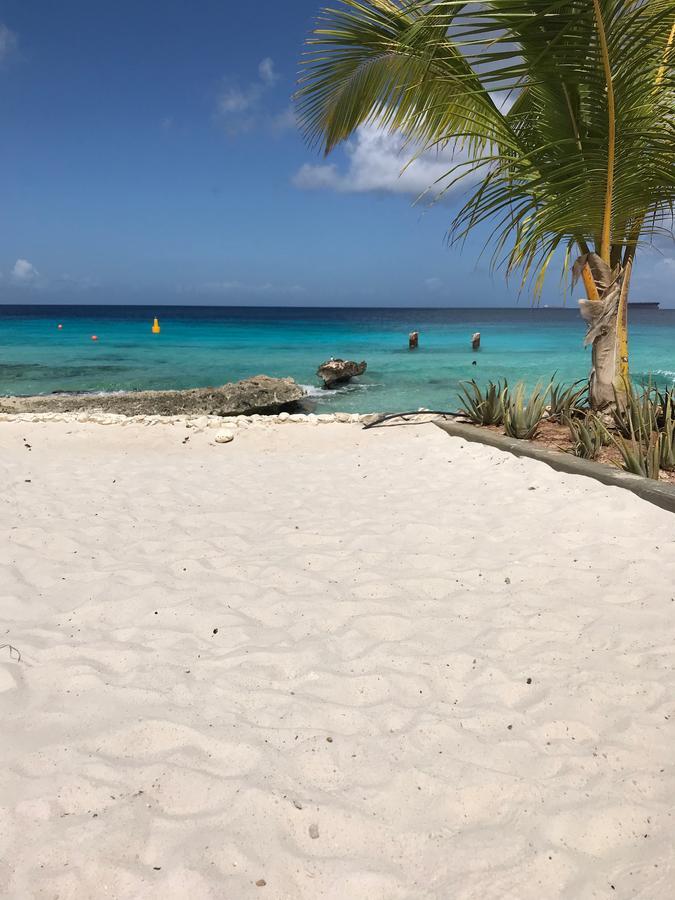Bonaire Boutique Resort Kralendijk na wyspie Bonaire Zewnętrze zdjęcie