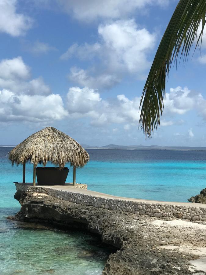 Bonaire Boutique Resort Kralendijk na wyspie Bonaire Zewnętrze zdjęcie