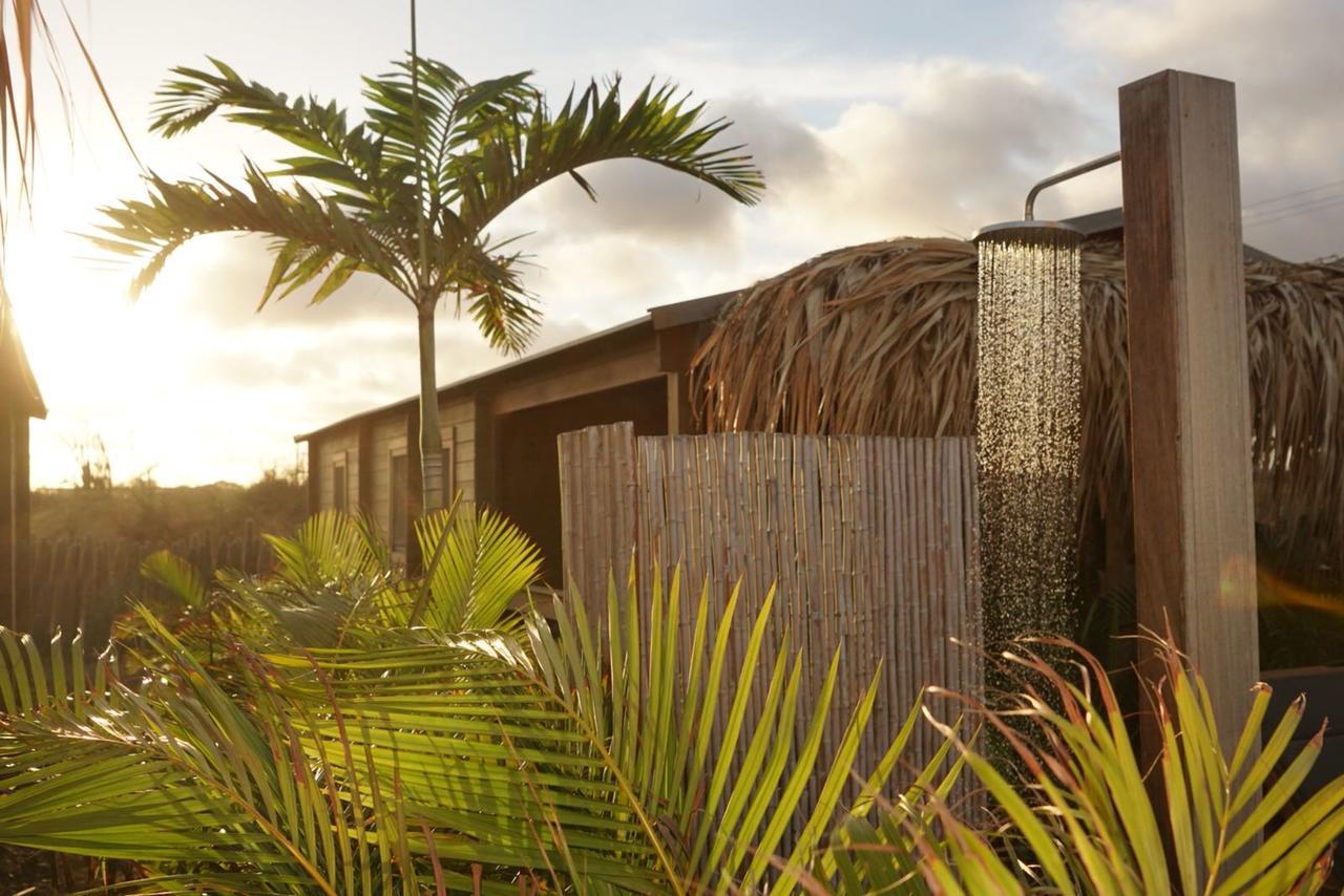 Bonaire Boutique Resort Kralendijk na wyspie Bonaire Zewnętrze zdjęcie